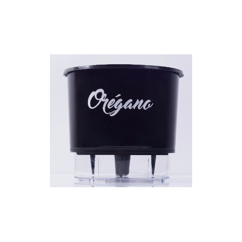 vaso auto irrigavel raiz gourmet preto oregano