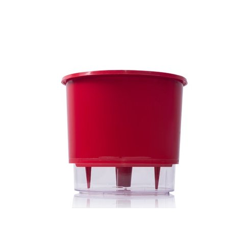 vaso auto irrigavel raiz vermelho