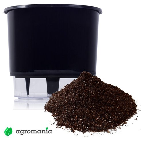 vaso autoirrigavel raiz preto substrato
