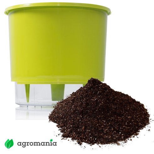 vaso autoirrigavel raiz verde claro substrato