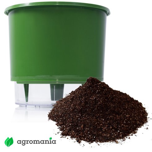 vaso autoirrigavel raiz verde escuro substrato