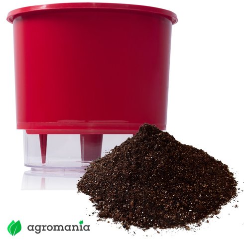 vaso autoirrigavel raiz vermelho substrato