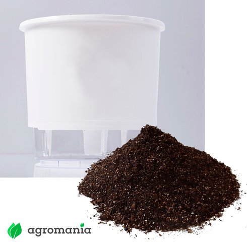 vaso autoirrigavel raiz branco substrato