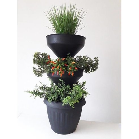 mini horta preta horta verde vida com plantas