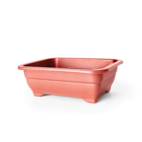 vaso bonsai nutriplan