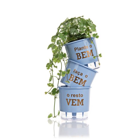 vaso autoirrigavel wishes plante o bem azul planta