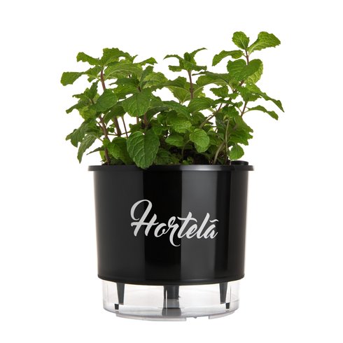 vaso autoirrigavel preto hortela