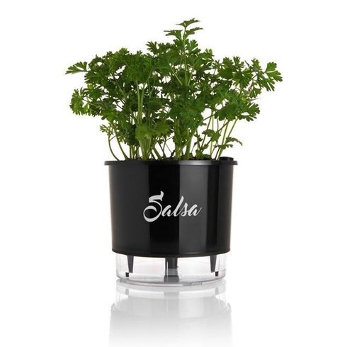 vaso autoirrigavel preto salsa