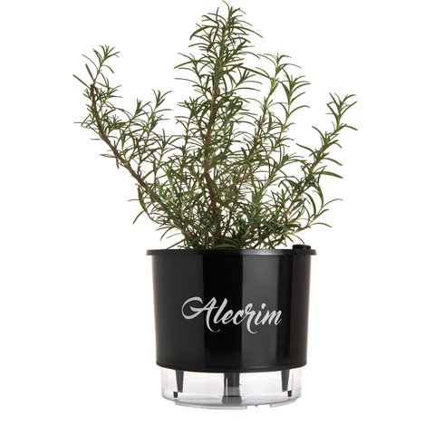vaso autoirrigavel preto alecrim