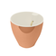 vaso autoirrigavel platie rose branco