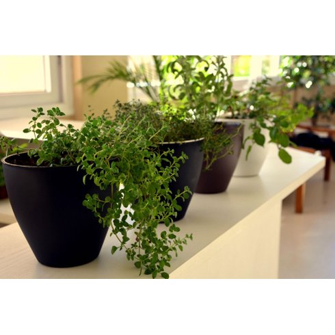 vaso autoirrigavel plantie fosco diversos