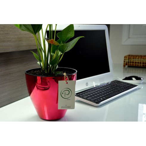 vaso autoirrigavel plantie metalizado rosa