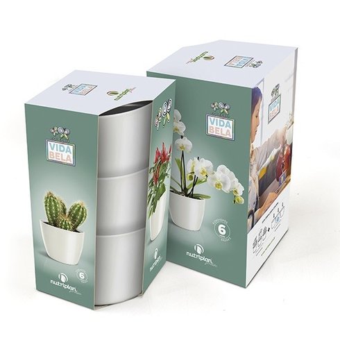 kit cachepo vida bela nutriplan branco