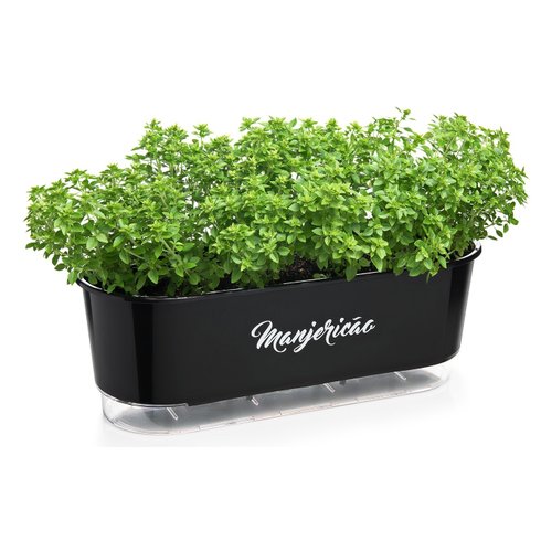 jardineira autoirrigavel raiz preto manjericao plantas