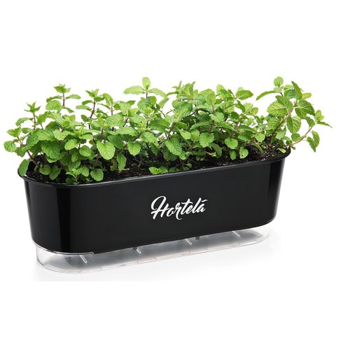 jardineira autoirrigavel raiz preto hortela lantas