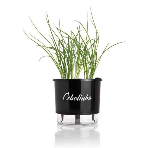 vaso autoirrigavel preto cebolinha