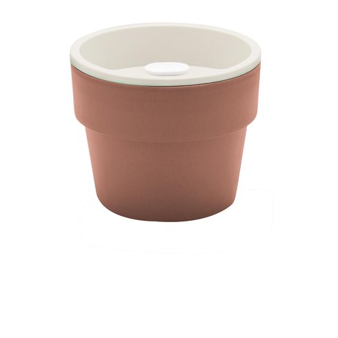 vaso autoirrigavel ou terra