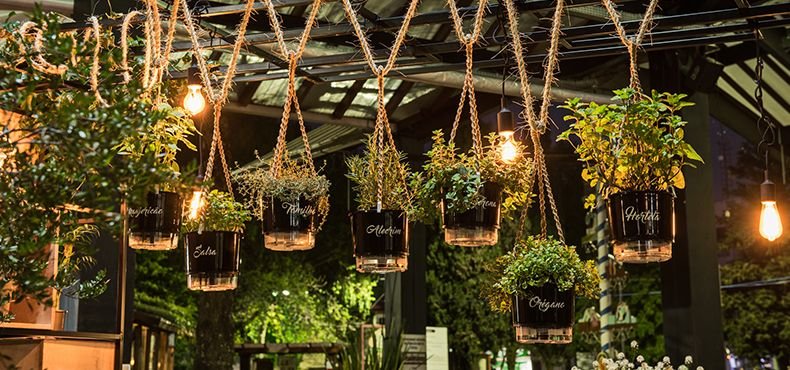 Como funciona o vaso autoirrigável?