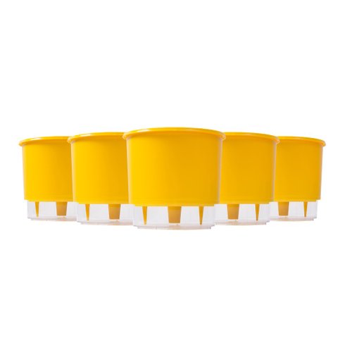 202663 kit 5 vasos auto irrigaveis raiz amarelo