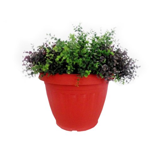 vaso mini acqua telha