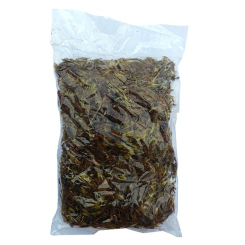 musgo verde conte 100g