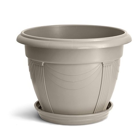 vaso romano capuccino nutriplan com prato