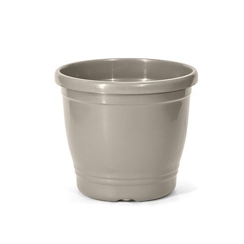 vaso primavera nutriplan capuccino