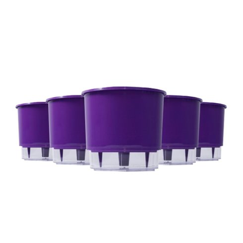 kit 5 vasos auto irrigaveis raiz roxo