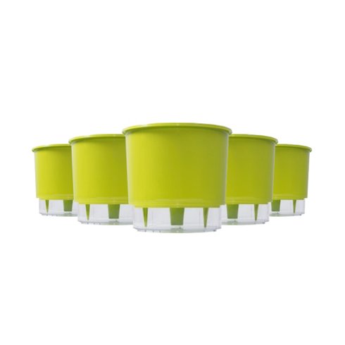 kit 5 vasos auto irrigaveis raiz verde claro