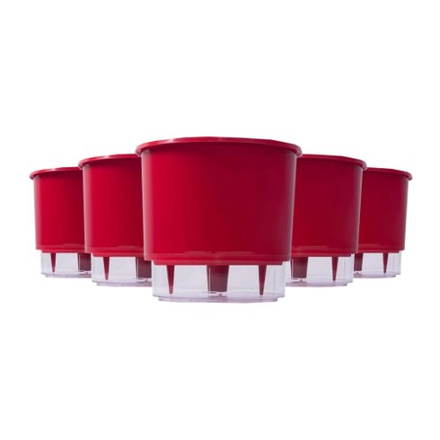 kit 5 vasos auto irrigaveis raiz vermelho