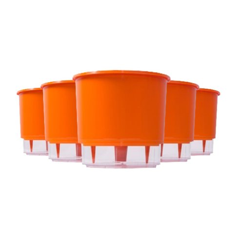 kit 5 vasos auto irrigaveis raiz laranja