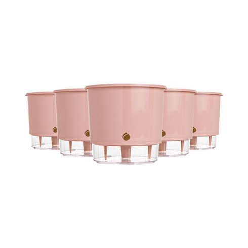 kit 5 vasos auto irrigaveis raiz rosa quartz