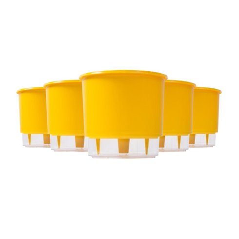 kit 5 vasos auto irrigaveis raiz amarelo