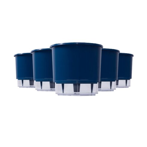kit 5 vasos auto irrigaveis raiz azul