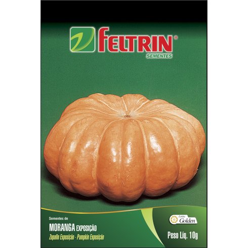 semente moranga exposicao feltrin