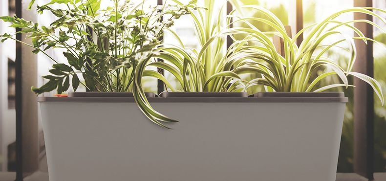 Tramontina surpreende mais uma vez