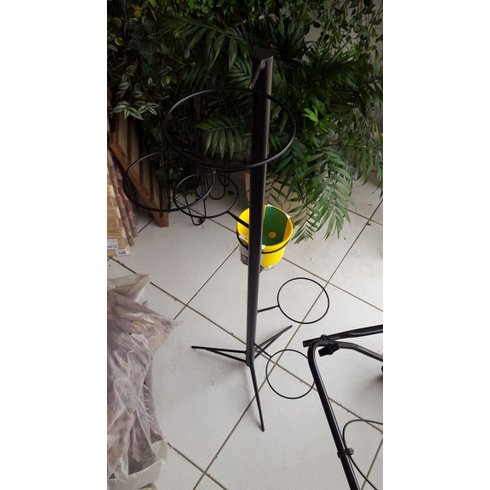 suporte 6 aros medio raiz