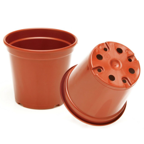 ecovaso 06 terra