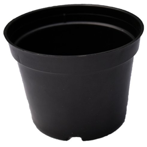 pt06 vasonobre rigido