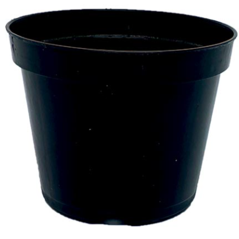 poten11 vasonobre rigido
