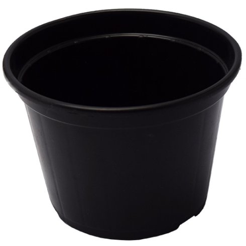pote vaso nobre rigido