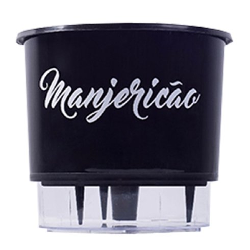 vaso gourmet raiz manjericao