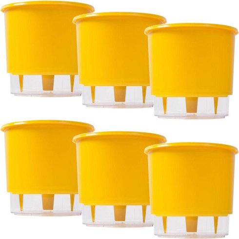 kit 6 vasos raiz autoirrigavel medio amarelo