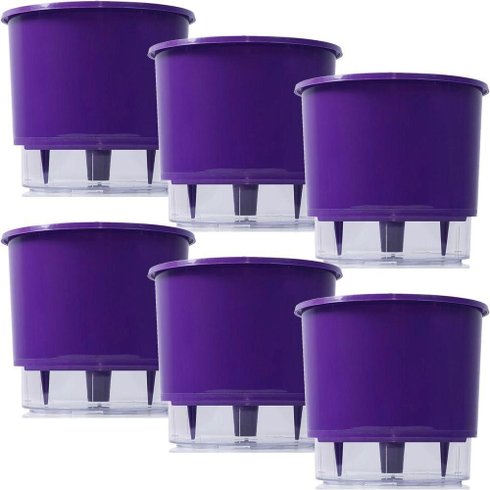 kit 6 vasos raiz autoirrigavel medio roxo