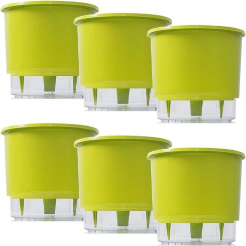 kit 6 vasos raiz autoirrigavel medio verde claro