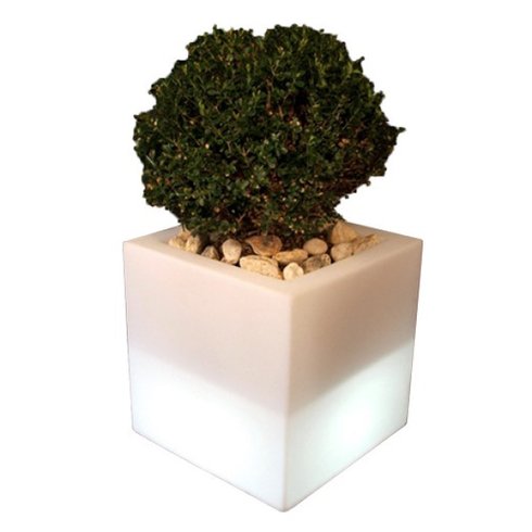 cachepot iluminado ouvert vase usare
