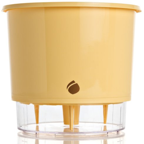 vaso autoirrigavel raiz pessego