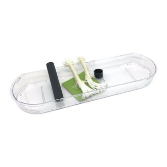 Kit Reposição JARDINEIRA Raiz