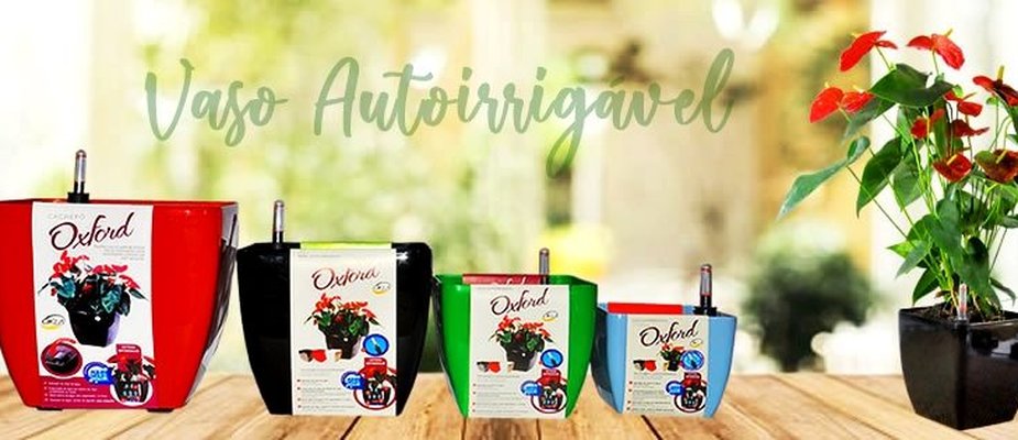 Como cultivar nos Vasos Autoirrigáveis Oxford