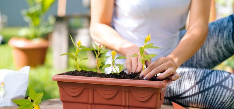 Conheça a linha Romano de Jardineiras tradicionais Nutriplan